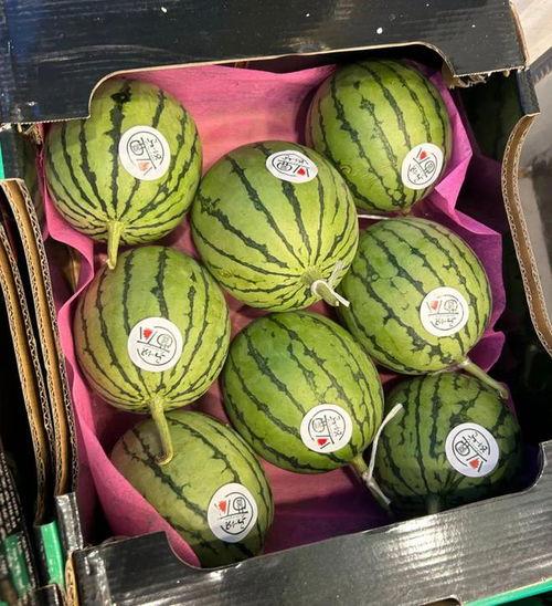 麒麟瓜今日价格北京,新鲜上市，品质保证！”