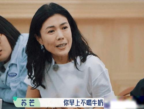 圈内人看明星网红,圈内人视角下的璀璨人生
