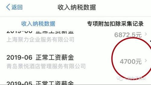 明星网红怎么申请退税的,揭秘明星网红退税申请全流程