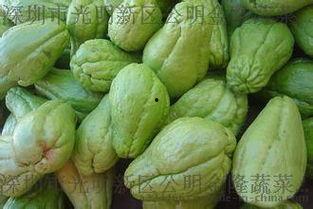 深圳今日佛手瓜价格,新鲜上市，实惠之选”