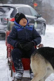 明星网红去雪乡了吗,明星网红的冬日浪漫行踪