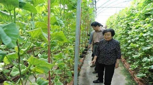 丽水今日热瓜事件真相是真的吗,真相揭秘，还原事件始末