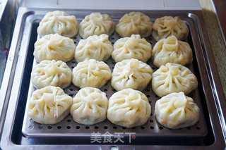 今日包子瓜价格