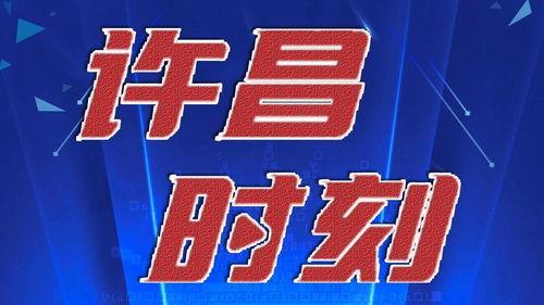 许昌今日头条卖瓜,新鲜瓜果任你挑，夏日炎炎解渴佳选