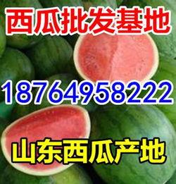 今日瓜价,今日瓜价行情一览