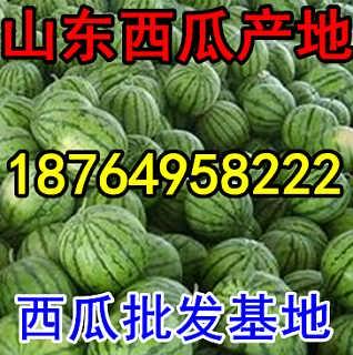 今日瓜价,今日瓜价行情一览