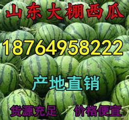 今日山东二号瓜价格,市场动态一览”