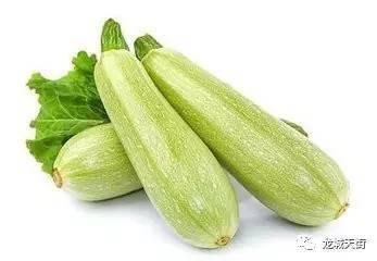 今日乳瓜批发价格多少,行情波动背后的秘密