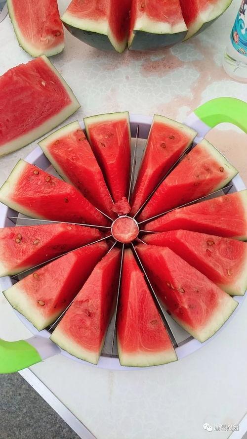 每日吃瓜今日大赛,一场全民参与的狂欢盛宴