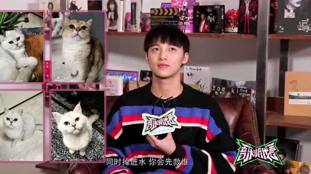 明星网红直播节目视频,明星风采与互动瞬间大盘点