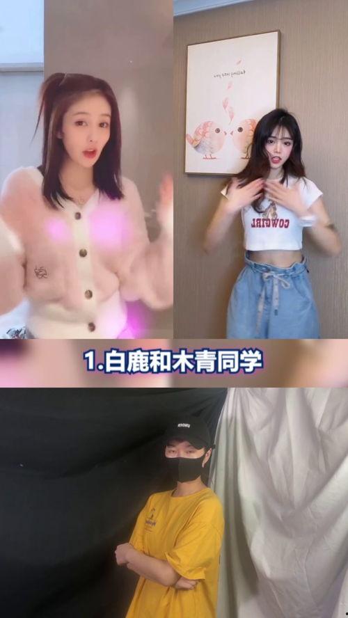 明星网红舞蹈完整版,明星网红舞蹈盛宴精彩回顾