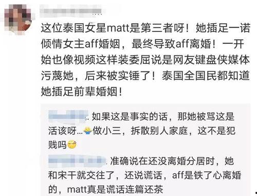 明星网红切片账号有哪些,热门内容背后的秘密解析
