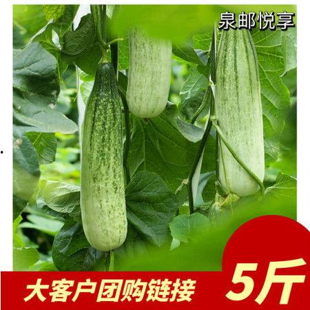 莱瓜 今日新鲜事