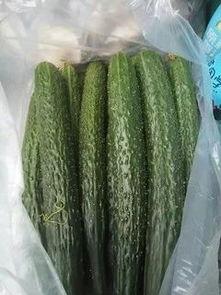 今日瓜菜最新价格,新鲜行情一览