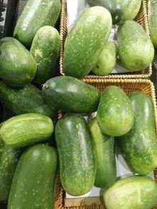 今日瓜菜最新价格,新鲜行情一览