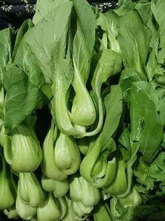 今日瓜菜最新价格,新鲜行情一览