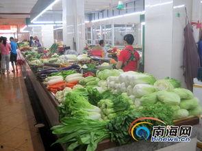 河南今日瓜菜行情价格,价格波动，市场供需分析
