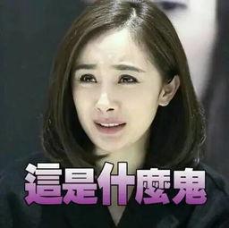 搞笑黑科技明星网红小说,黑科技明星网红的疯狂冒险记