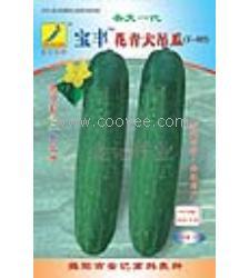 高碑店今日吊秧瓜价,价格波动解析”