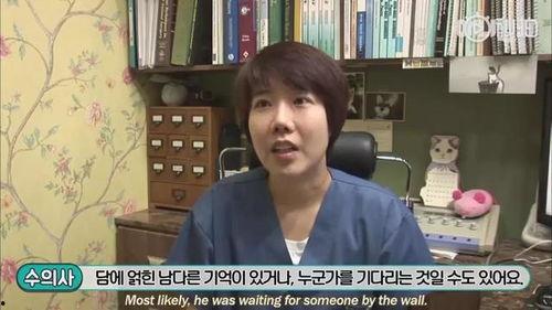 明星网红买狗是谁,揭秘热门狗狗品种背后的故事