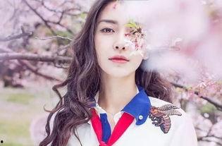 爱撵兔的明星网红,揭秘明星网红的趣味生活