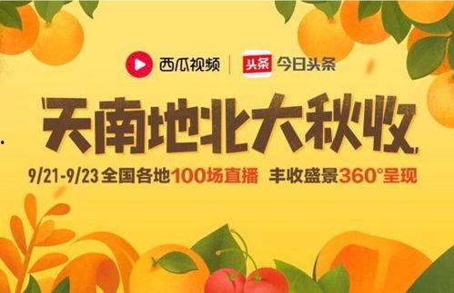 今日摘瓜视频大全免费观看