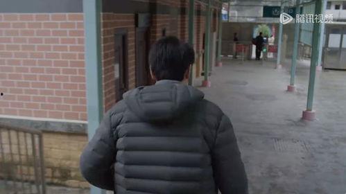 柳州市明星网红有谁,揭秘柳州市热门网红榜单
