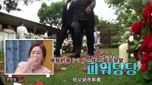 韩国明星网红居住的地方,韩国明星网红的时尚居住地探秘