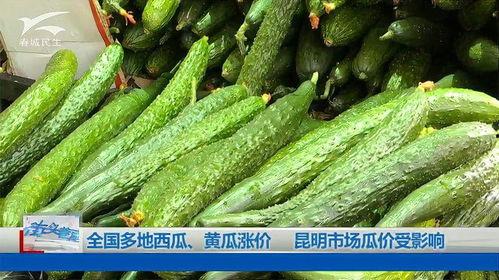 昆明今日鲜瓜价,夏日炎炎，瓜果飘香，价格如何？