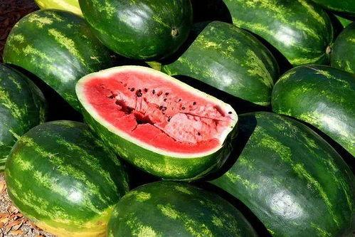 昆明今日鲜瓜价,夏日炎炎，瓜果飘香，价格如何？