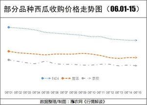 今日瓜干价格行情走势,今日行情走势解析