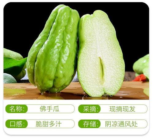 洋瓜今日批发价,今日洋瓜批发价行情一览