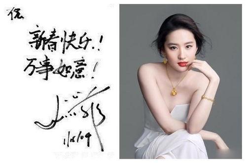 伊犁女明星网红有哪些,美丽与才华并存的璀璨之星