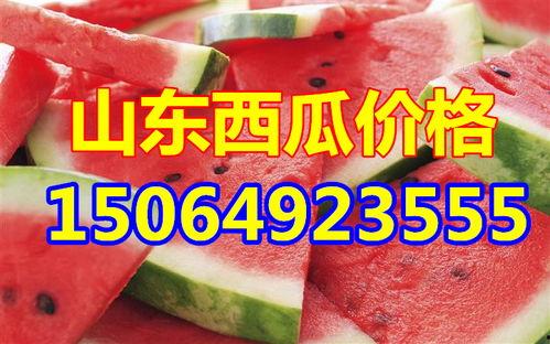 通海今日小瓜收购价格表,今日行情一览