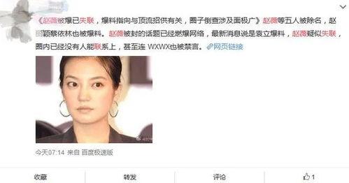 故意谩骂明星网红违法吗,法律红线不容逾越”