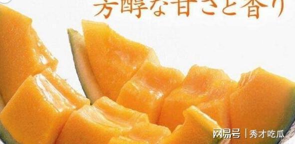 蜜瓜价格今日多少钱一斤,多少钱一斤？