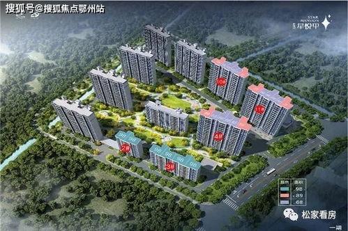 白石山最近哪个明星网红,探寻自然与时尚的完美融合