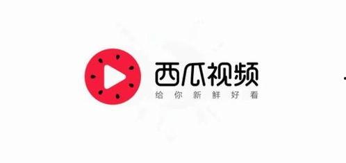 今日头条小瓜新消息,今日头条最新动态揭秘！”