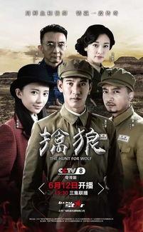 擒狼电视剧,智勇双全，热血追踪