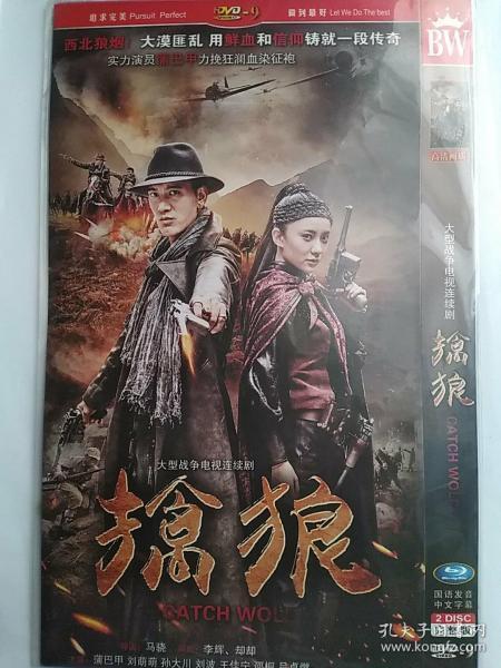 擒狼电视剧,智勇双全，热血追踪