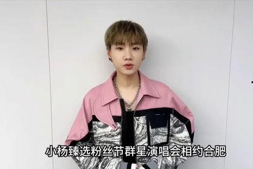 小杨哥和明星网红