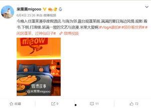 明星网红打卡店叫什么,揭秘明星网红热爱的神秘店铺”