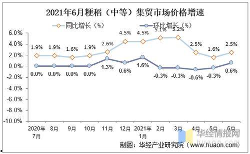 今日小瓜走势分析图表,今日市场动态一览