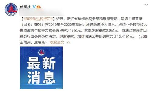 明星网红偷税案件最新,最新案件深度解析