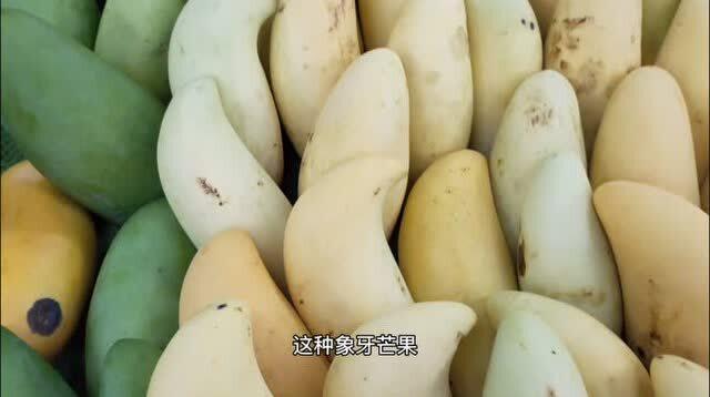 宁夏今日茭瓜价格行情最新,今日市场动态一览”