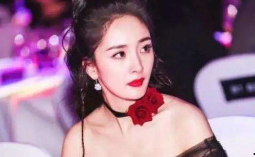 明星网红大抓夹鲨鱼夹,大抓夹鲨鱼惊心动魄瞬间