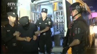 吃瓜黑团伙完整版,一场网络舆论的狂欢与反思