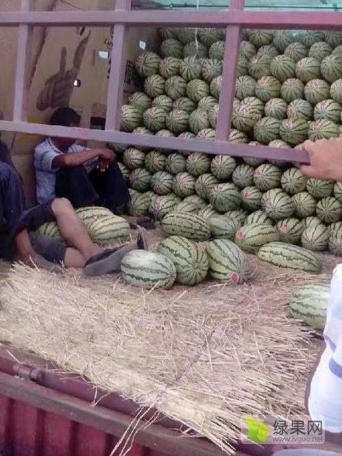 武汉今日麒麟瓜价格,价格行情一览”