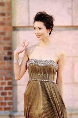 背景图明星网红图,图鉴时尚潮流风向标