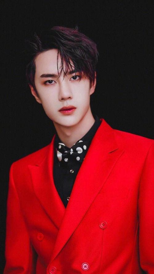 封镜的明星网红是谁,揭秘当红明星网红的神秘面纱